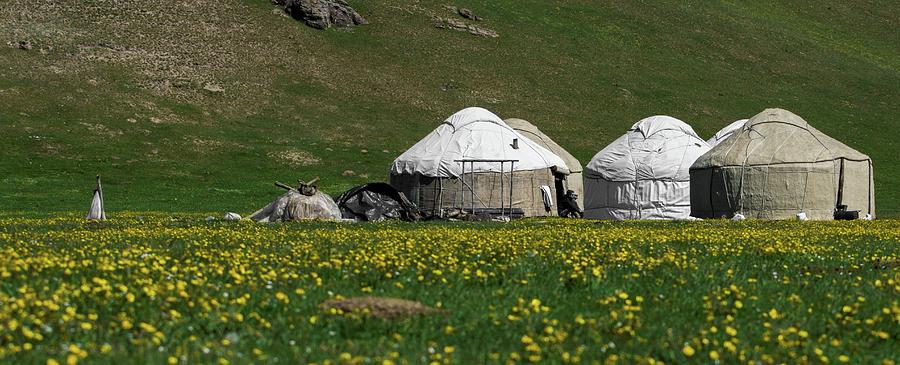 A time for relax Photograph by Robert Grac