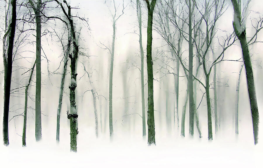 Abstract Winter Photograph by Jessica Jenney