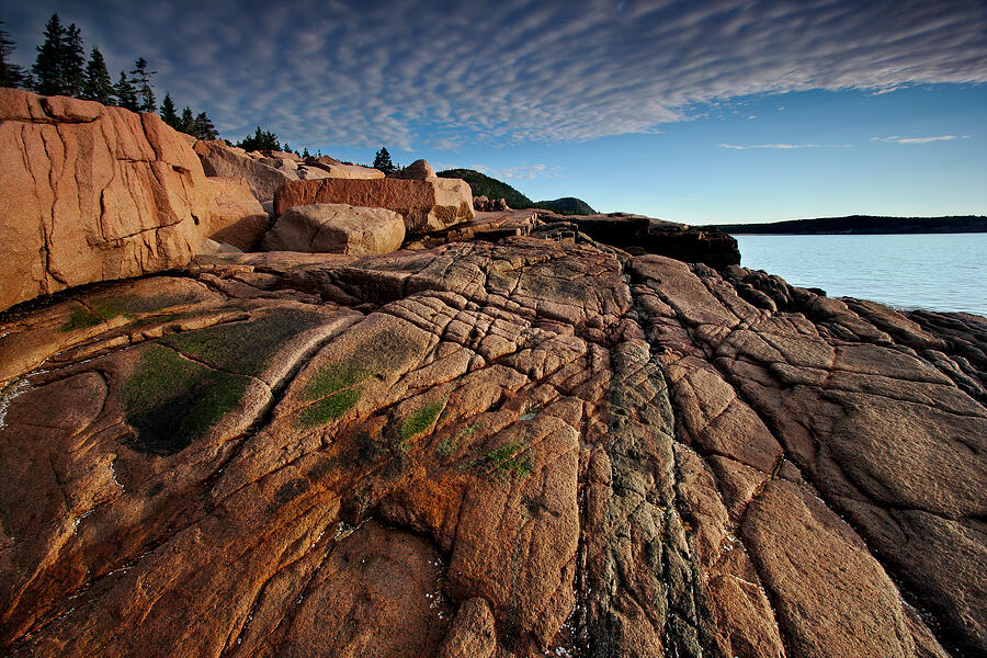 Acadia Rocks by Neil Shapiro