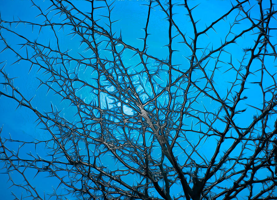 Against the blue sky Photograph by AM FineArtPrints