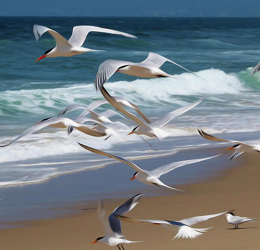 Flock of Seagulls Over the Beach Photograph - Aloft Again by Joe Schofield