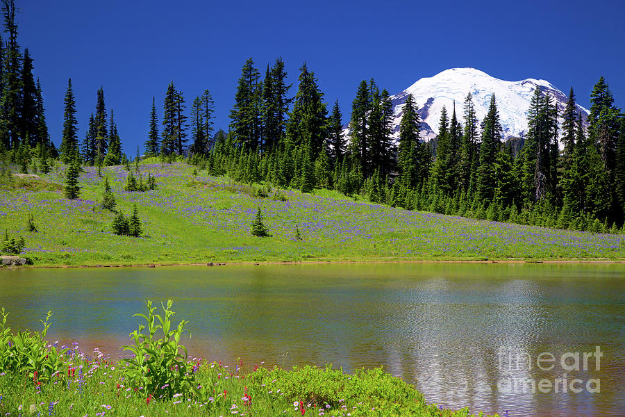 Alpine Lake near Mt. Rainer Photograph by Bruce Block
