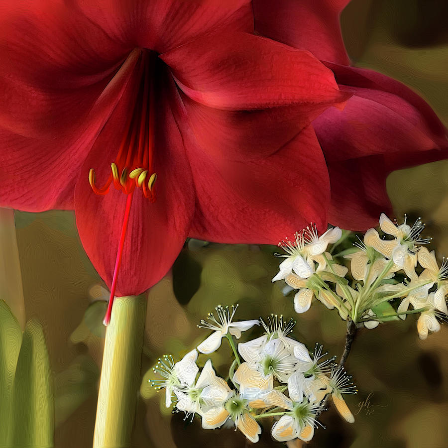 Amarilli, mia bella Digital Art by Gina Harrison