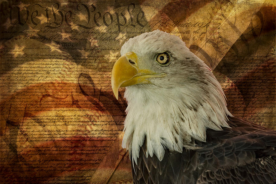 Bald Eagle with Constitution Photograph - American Icons by Susan Candelario