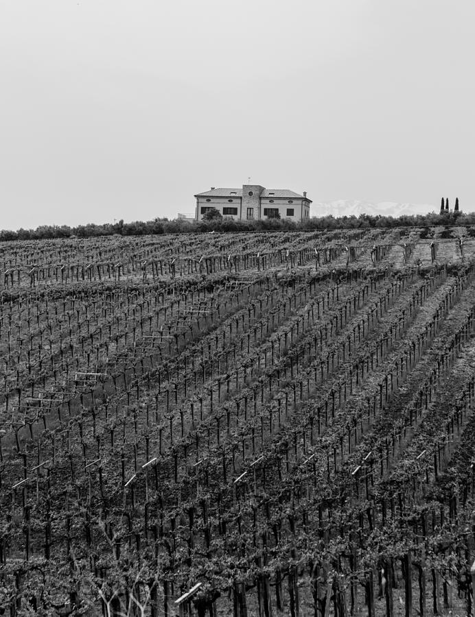 An italian farm in Abruzzo Photograph by AM FineArtPrints