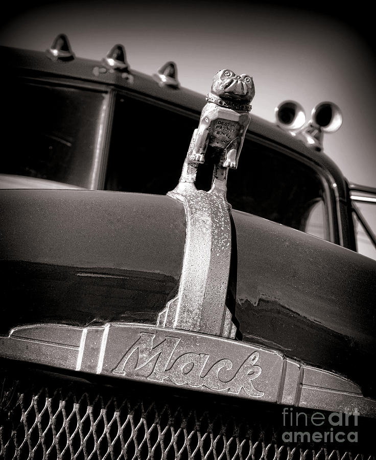 Vintage Mack Truck with Bulldog Mascot Photograph - Antique Mack Bulldog Hood Ornament by Olivier Le Queinec