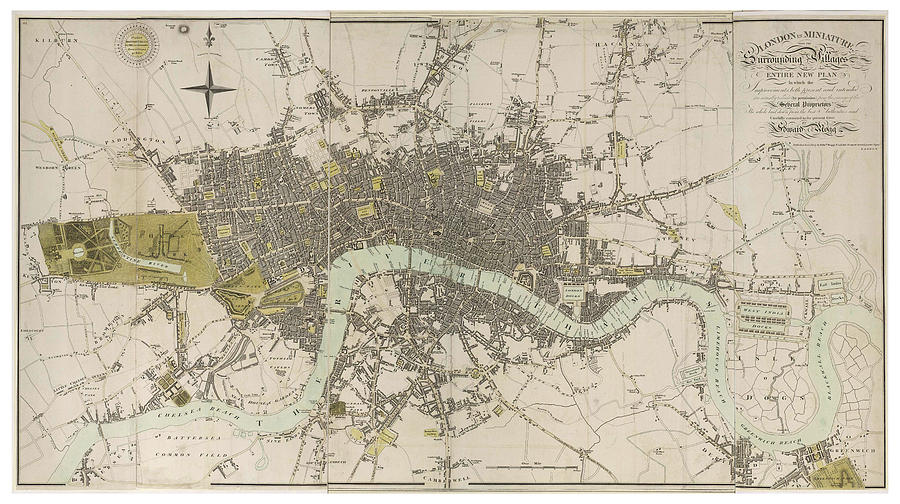 Antique Map of London Drawing - Antique Map of London - Old Cartographic maps - London in Miniature, 1807 by Edward Mogg by Studio Grafiikka