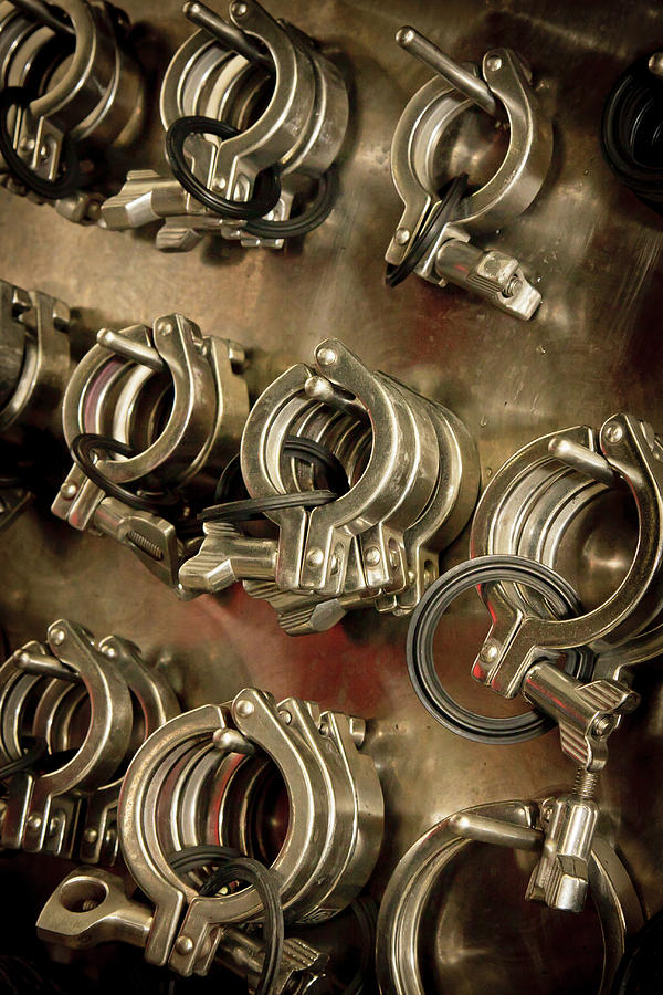 Around the Vineyard II Photograph by Rob Narwid