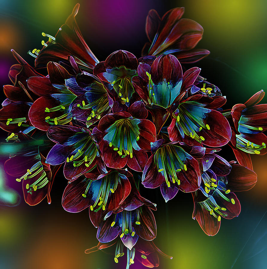 Vibrant Floral Bouquet Photograph - Assortment of Splendor by Bill and Linda Tiepelman