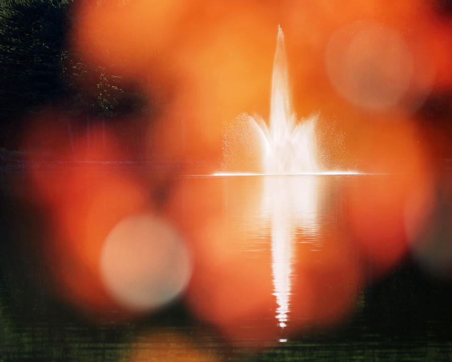 Autumn Afternoon at The Waterfront Photograph by Rona Black