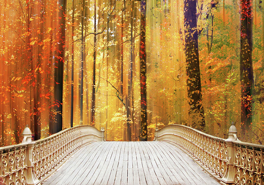 Wooden Bridge in Autumn Forest Photograph - Autumns Offering by Jessica Jenney