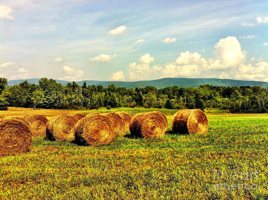 Beautiful Bales Photograph by Onedayoneimage Photography