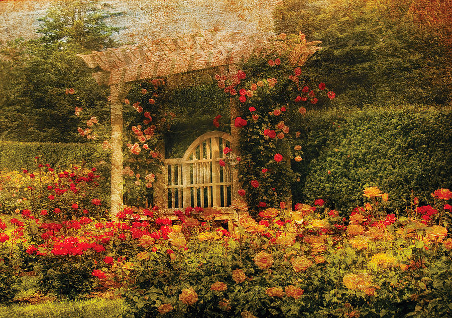 Bench - The Rose Garden by Mike Savad