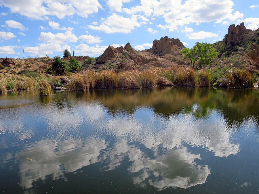 Between the Skies Photograph by Rick Locke - Out of the Corner of My Eye