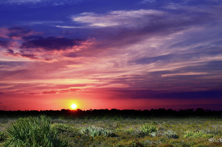 Vibrant Sunset Over the Grassland Photograph - Big Texas Sky by Laura Fasulo