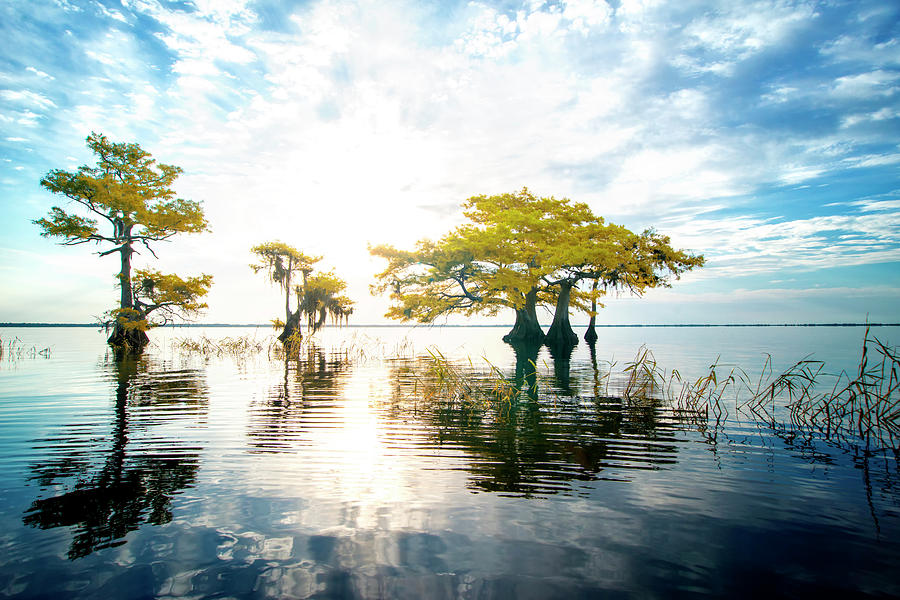 Birth of Morning Photograph by Ghostwinds Photography