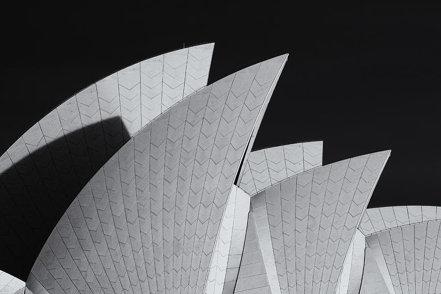 Black and White Shapes Photograph by Nicholas Blackwell