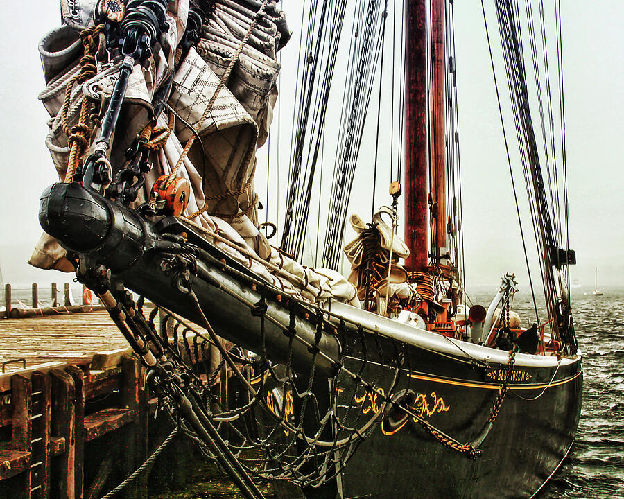 Bluenose Photograph by Tatiana Travelways