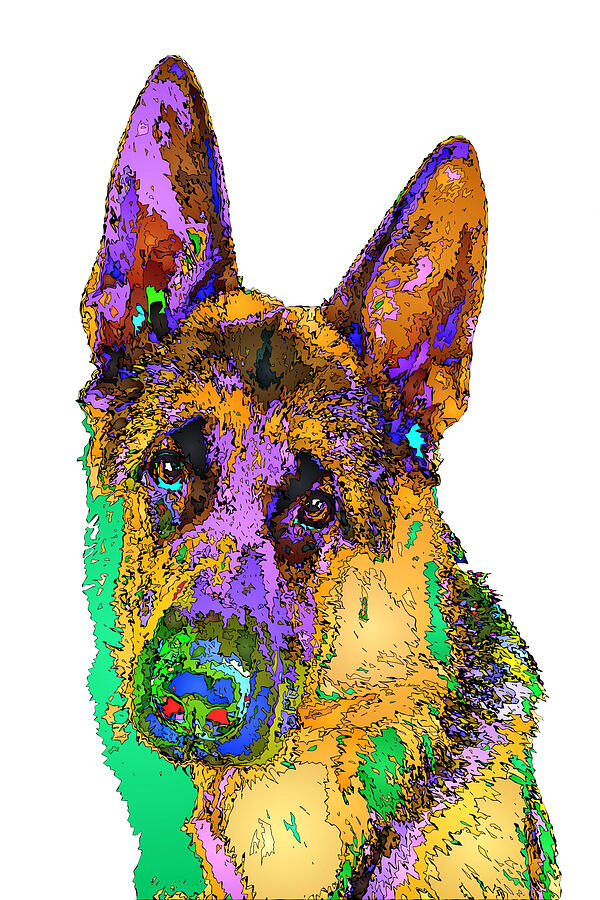 Bogart the Shepherd. Pet Series Digital Art by Rafael Salazar
