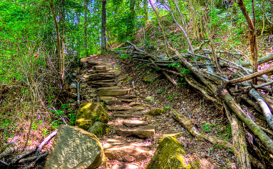 Boreman Hill Trail Photograph by Jonny D