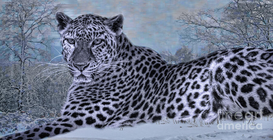 Born To Be Free Digital Art by Mary Lou Chmura
