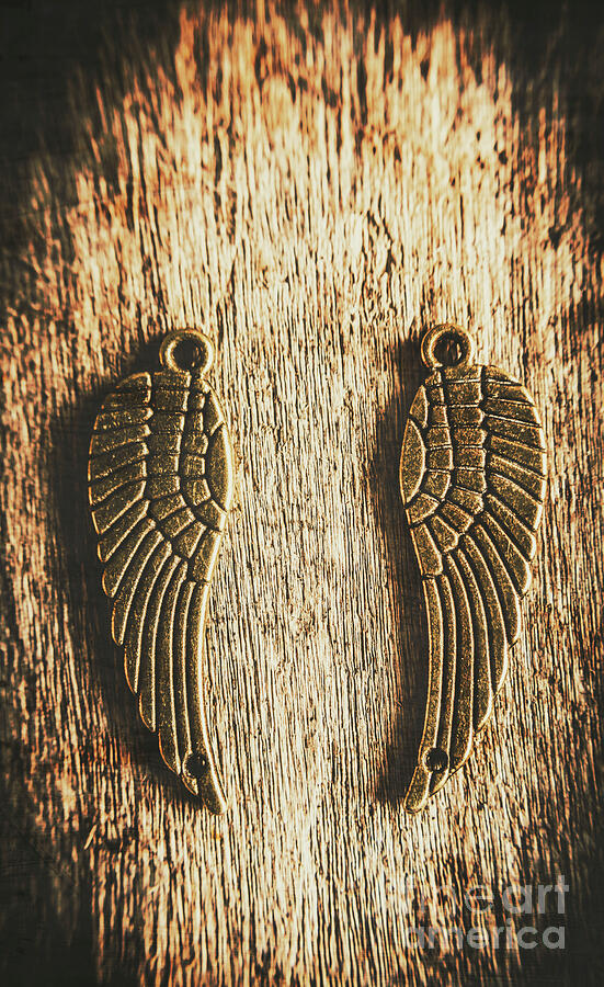 Bronze angel wings Photograph by Jorgo Photography