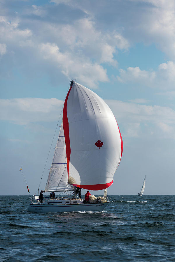 Canada Sail Photograph by Linda Ryma
