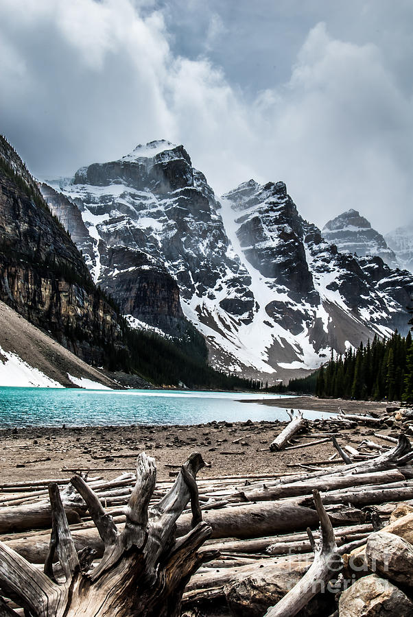 Canadian Rockies Photograph by Blake Webster