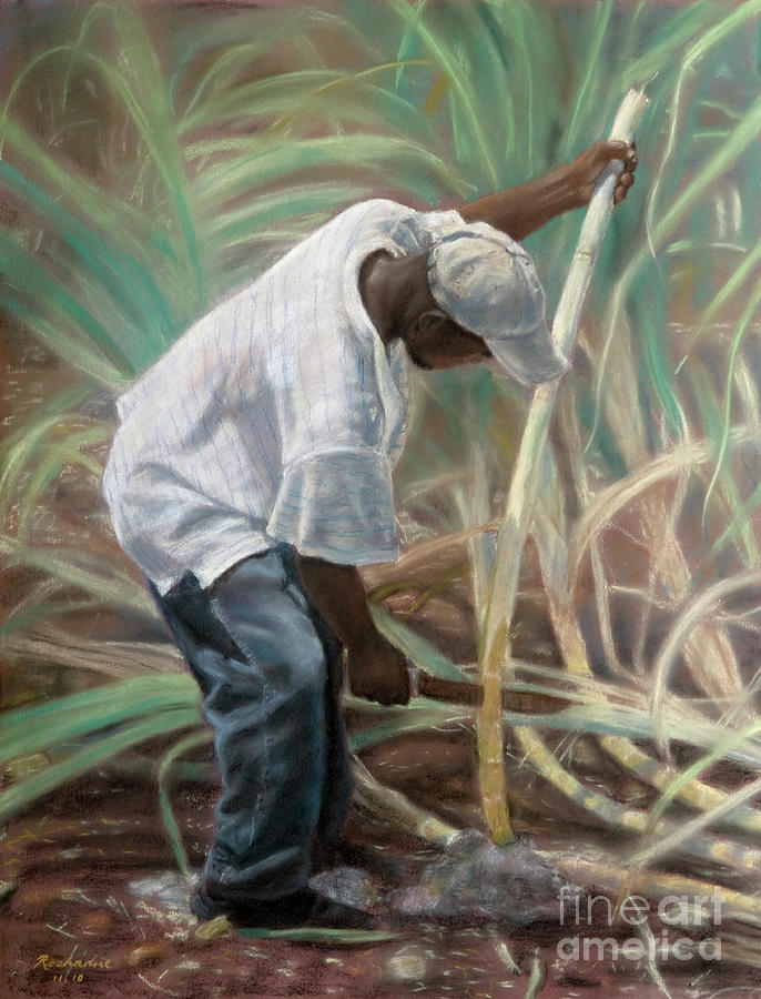 Cane Field Pastel by Roshanne Minnis-Eyma