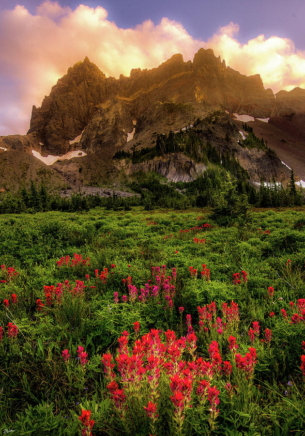 Mountain Sunset with Wildflowers Photograph - Canyon Creek Meadow Sunset by Russell Wells