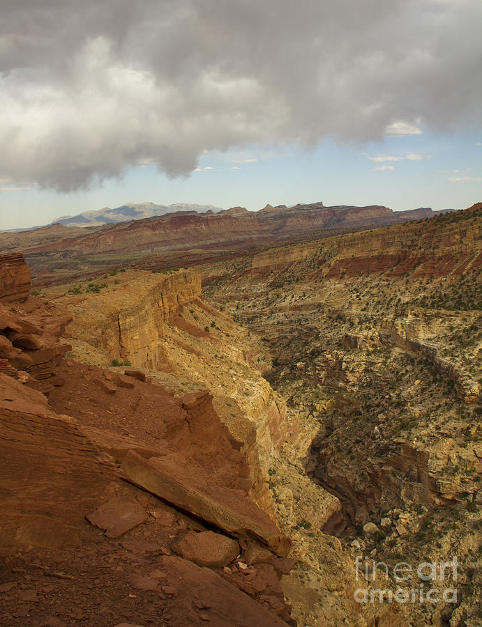 Capital Reef, Utah Photograph by Waterdancer 