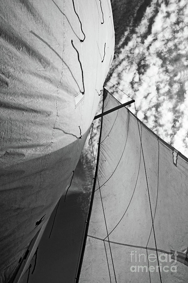 Sailing Against the Sky Photograph - Cloudy sky seen through billowing white sails by Sami Sarkis Photography