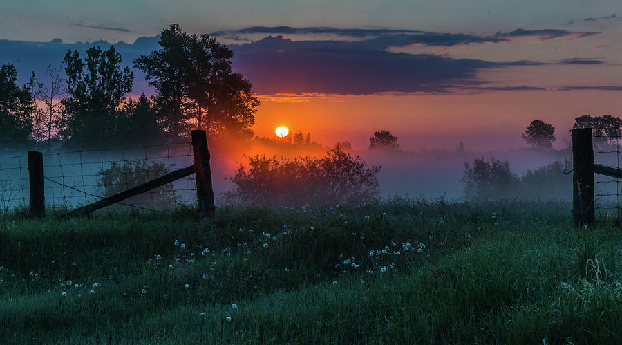 Country Sunrise Photograph by Linda Ryma