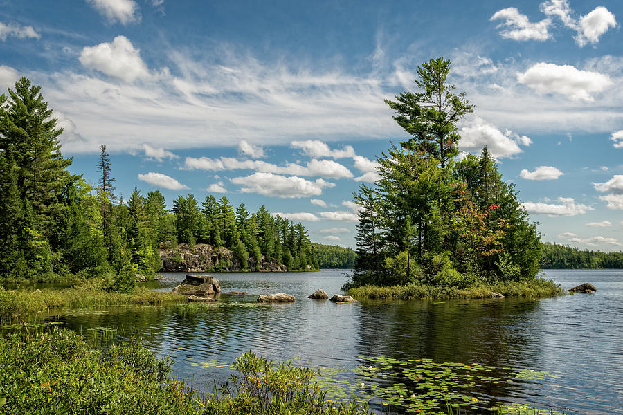 Craig Lake SP1 Photograph by Steve LItalien