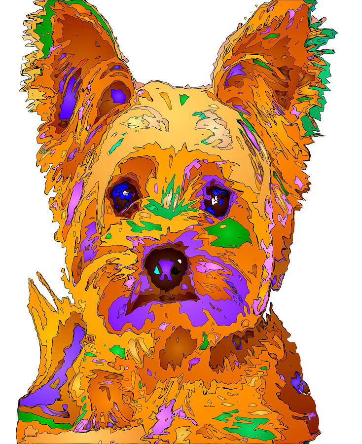 Cupcake the Yorkie. Pet Series Digital Art by Rafael Salazar