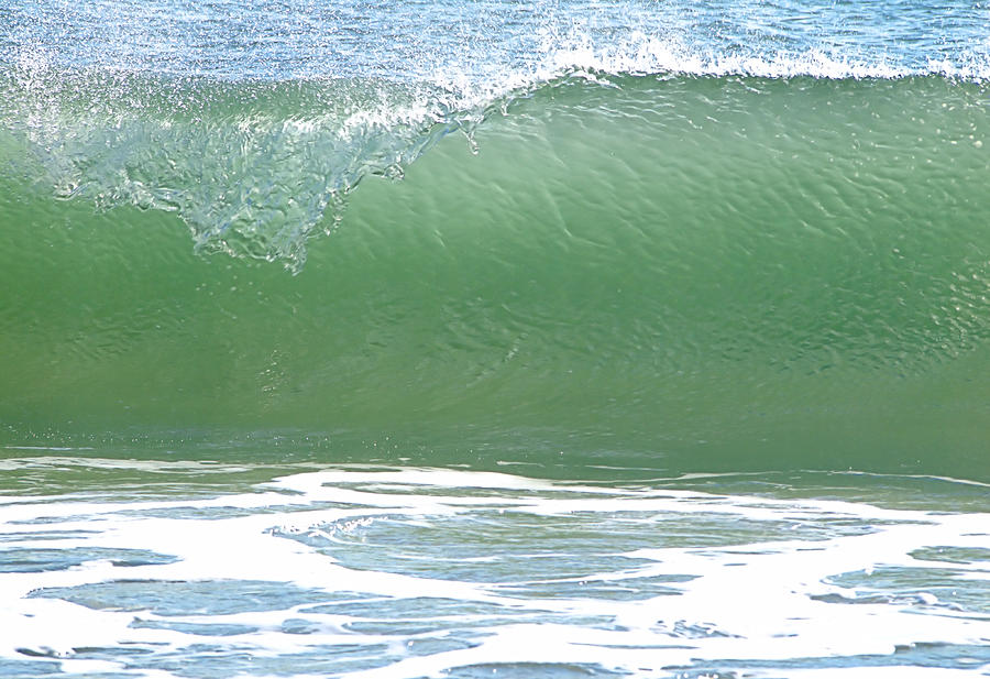 Curl Photograph by Robert Newman