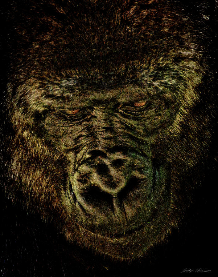 Deep in Thought Photograph by Jacalyn Ackerman