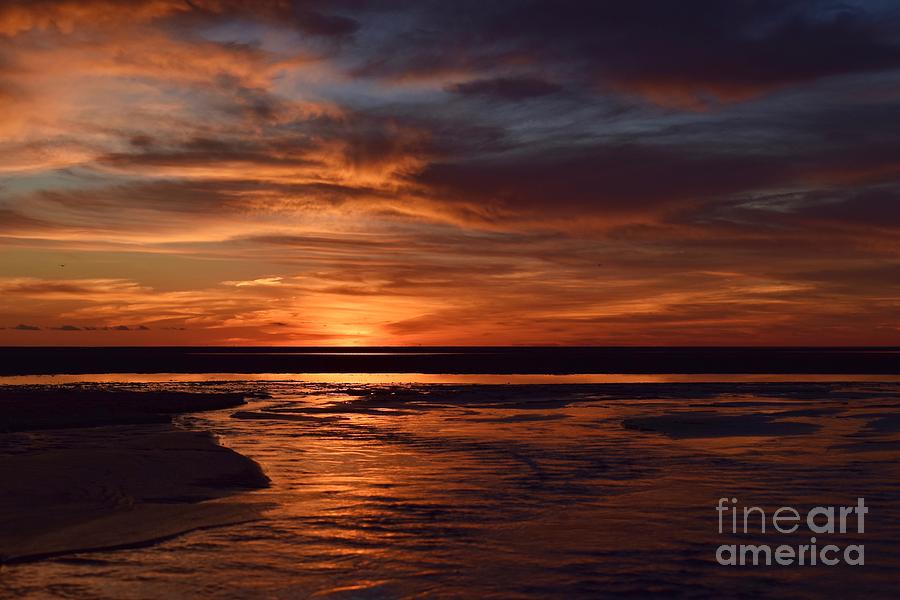 Dramatic  Encounters Collection 07 Photograph by Debra Banks