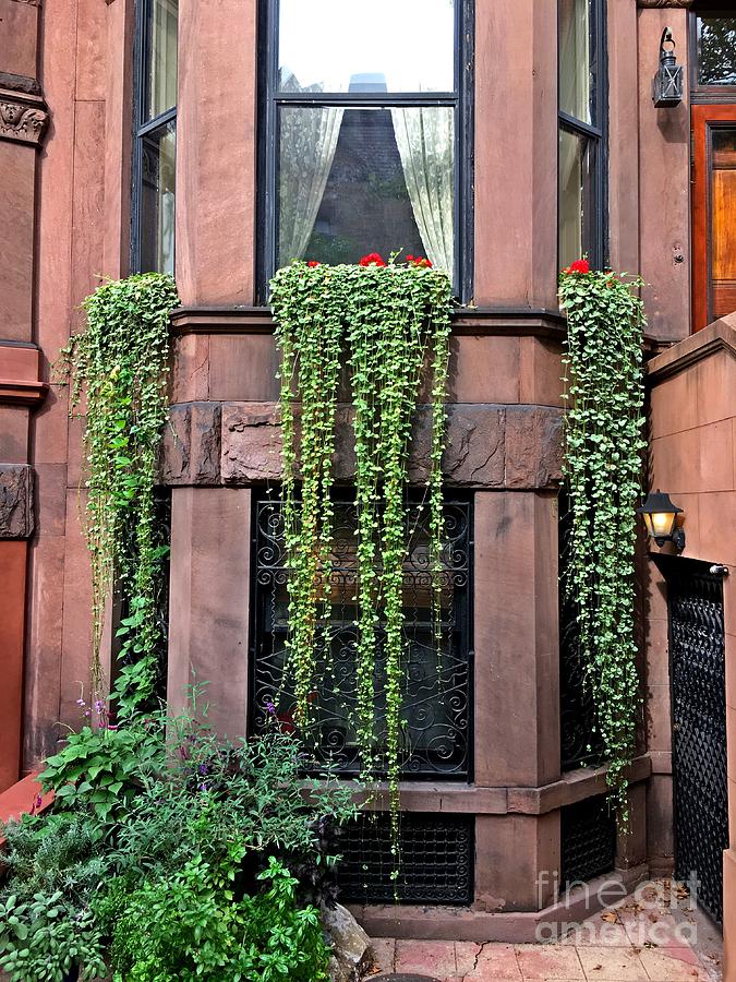 Draped Photograph by Onedayoneimage Photography