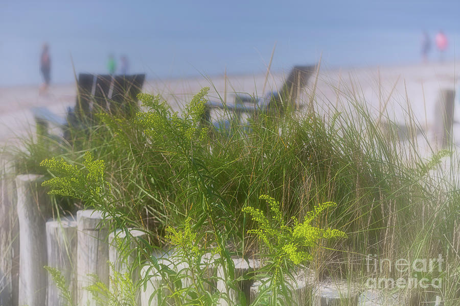Dreamy Morning Walk On The Beach Photograph by Mary Lou Chmura