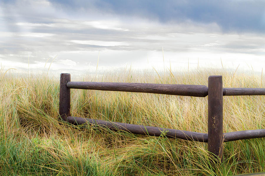 Dune Fence Photograph by Steven David Roberts