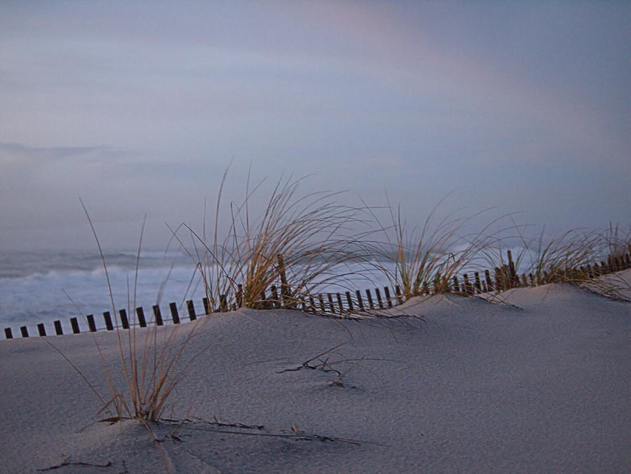 Dune View 2 Photograph by Robert Newman
