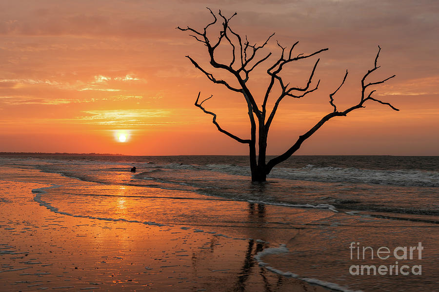 Edisto Island Sunrise III Photograph by Clarence Holmes