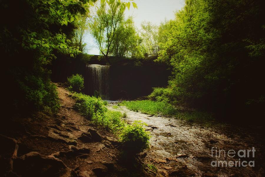 Eerie Path At Wequiock Falls Photograph by Duluth To Door County Photography