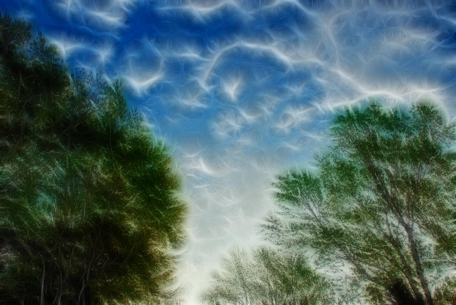 Electric Sky Photograph by Crystal Wightman