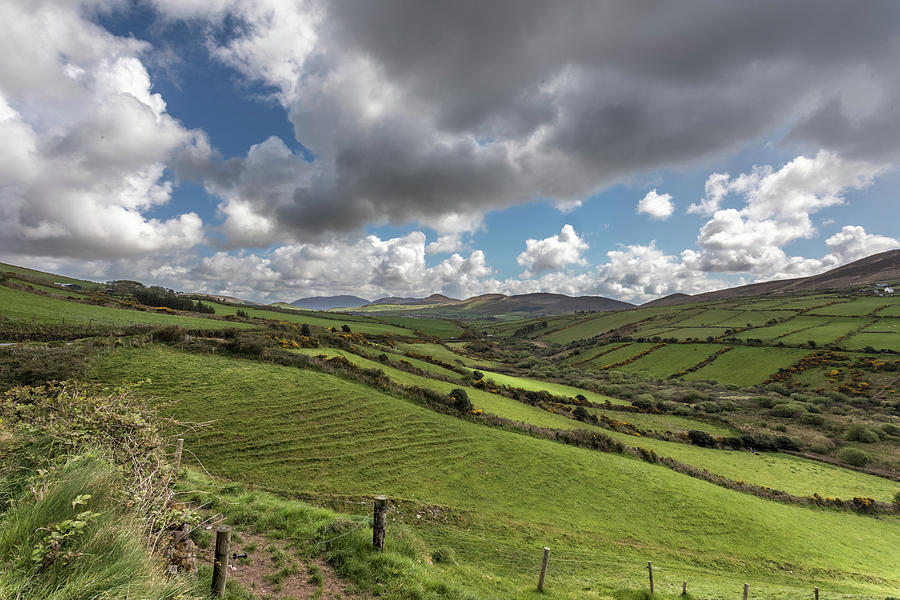 Emerald Vision Photograph by Todd Wilkinson