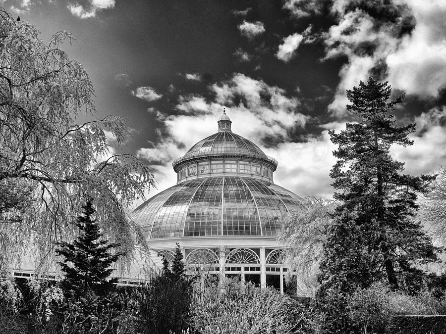 Majestic Glass Conservatory Photograph - Enid J, Haupt Conservatory by Jessica Jenney