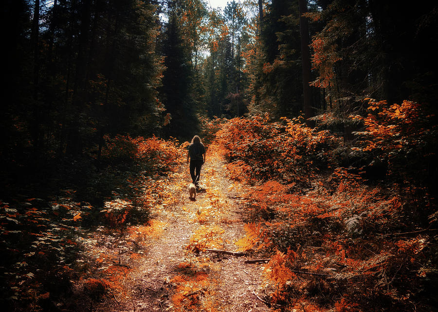 Fall walk Photograph by Al Poullis
