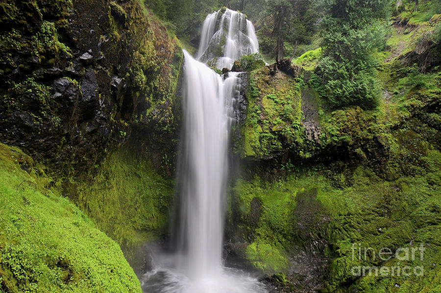 Falls Creek Falls in Washington Photograph by Bruce Block
