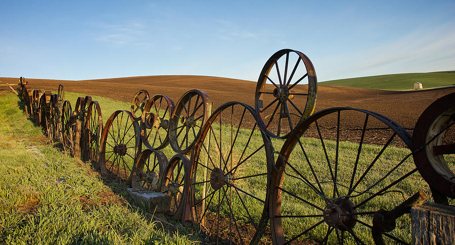 Fence of Wheels Photograph by Mary Lee Dereske